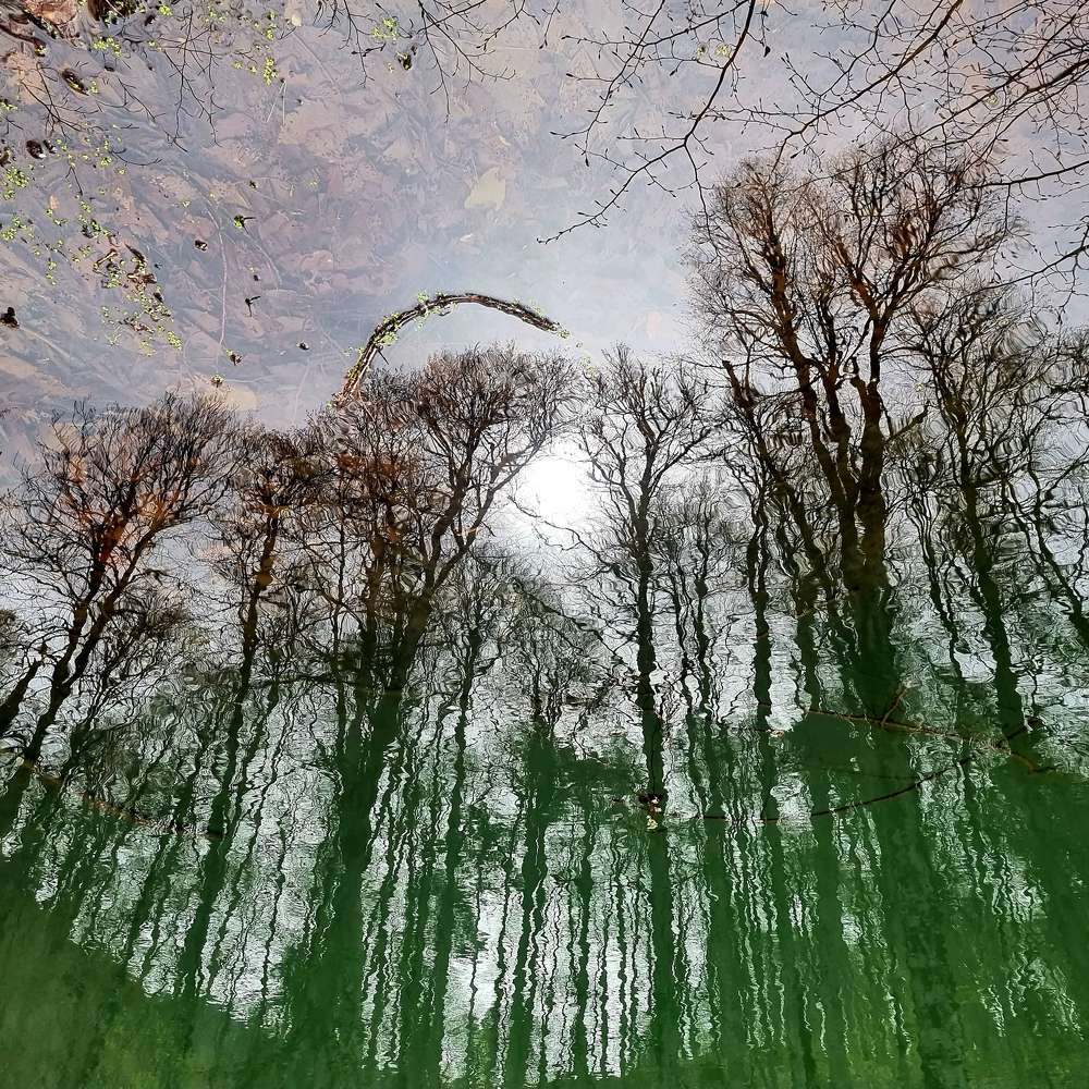 Фотография автора Irina Krasnopevzeva