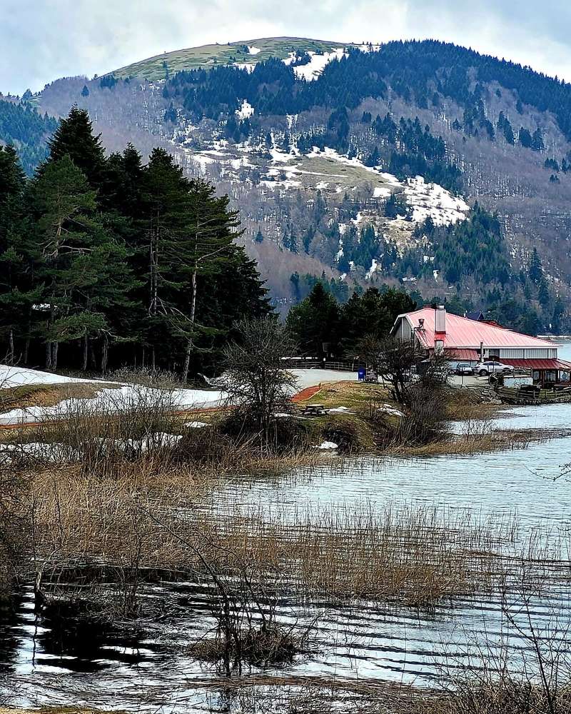 Фотография автора Irina Krasnopevzeva