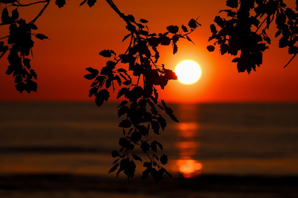 Фотография автора Elvijs Kalnins