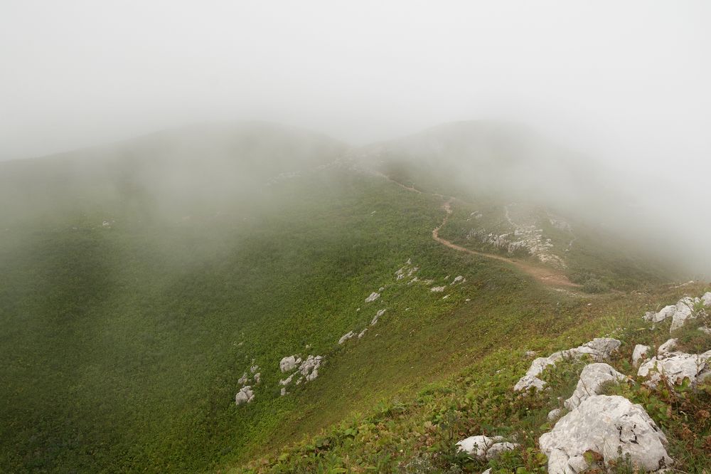 Photograph by Юлия Козельских