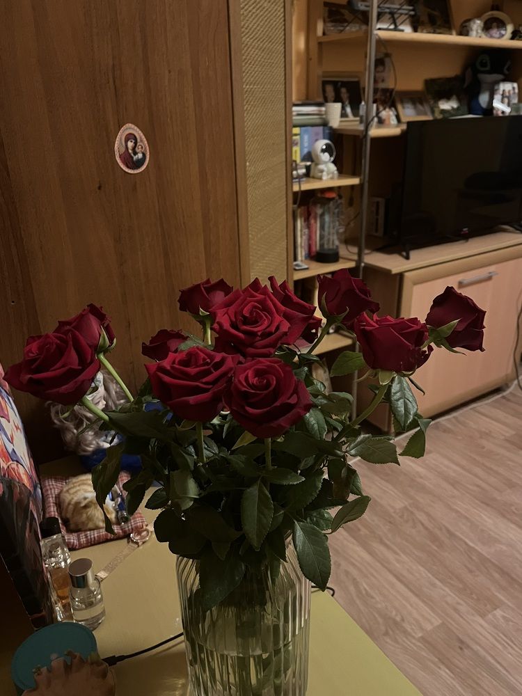 Photograph by алина мец