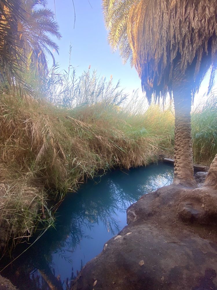 Photograph by יפעת ברונשטיין כהן