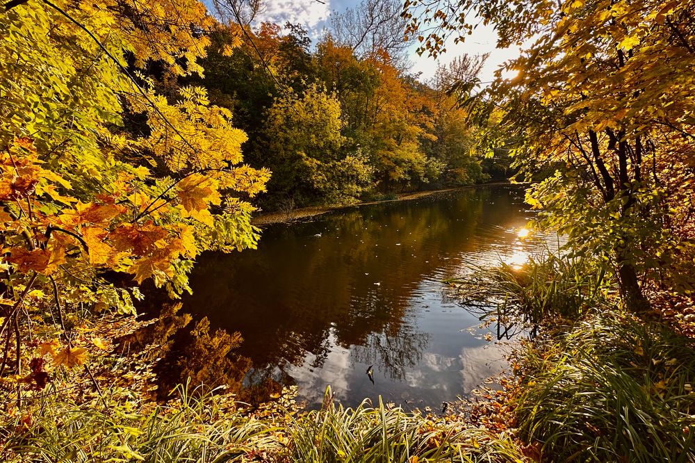 Photograph by Полина Самойлова