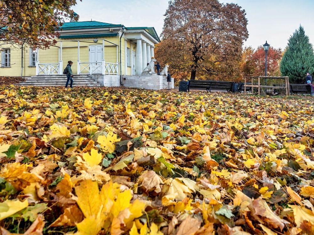 Photograph by Константин Поляков