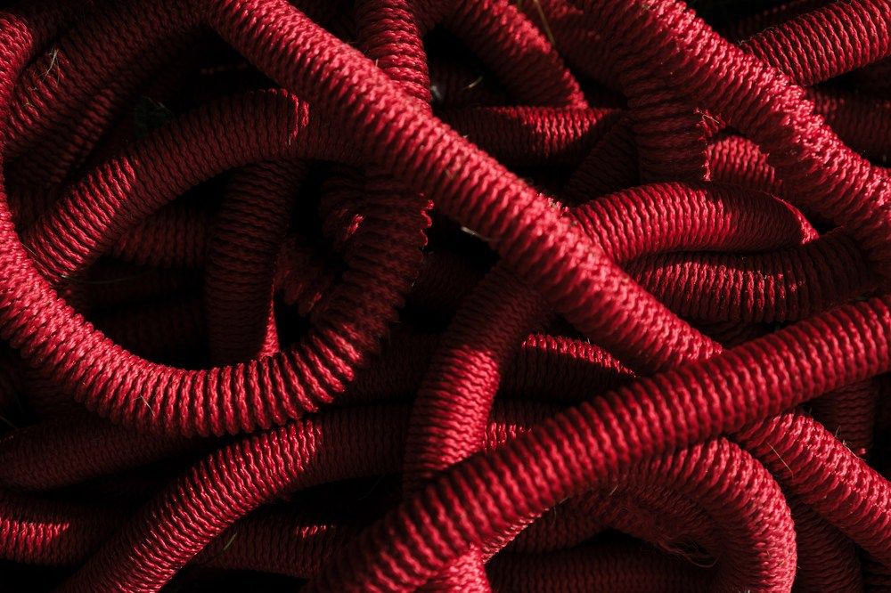 Фотография автора Елена