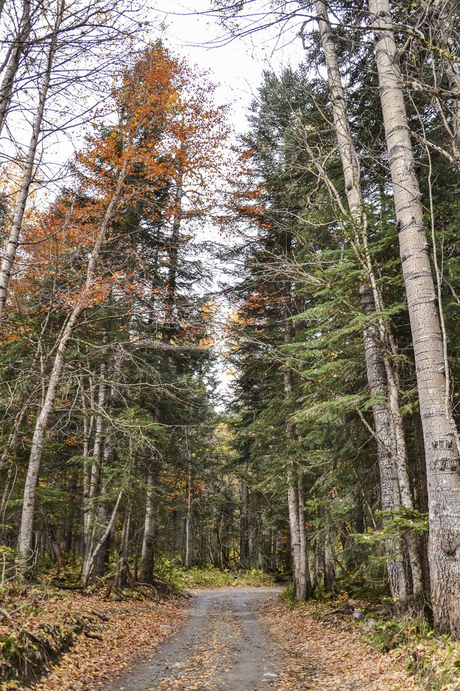 Photograph by Меркулова Наталья Геннадьевна