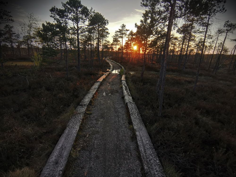 Photograph by Владимир Ефимов