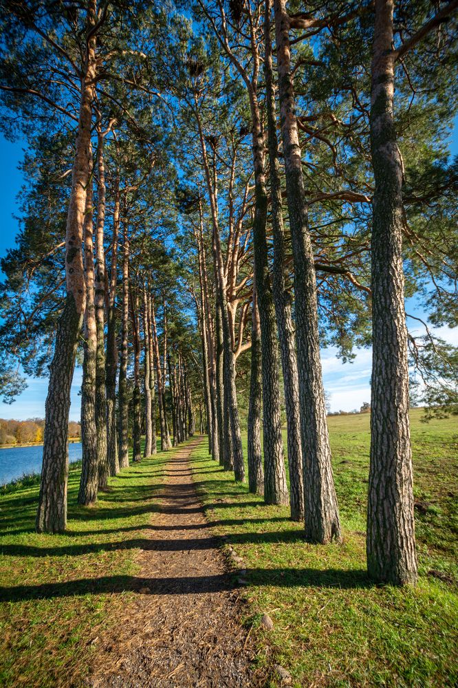 Photograph by Максим Жухлистов