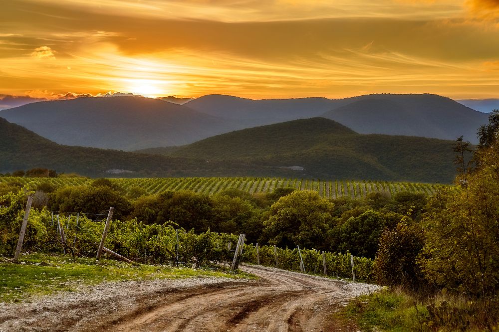 Фотография автора Макс Морозов