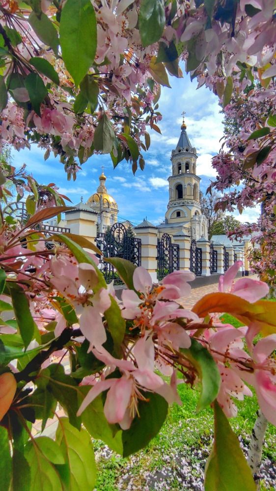 Photograph by Ирина Подосинникова