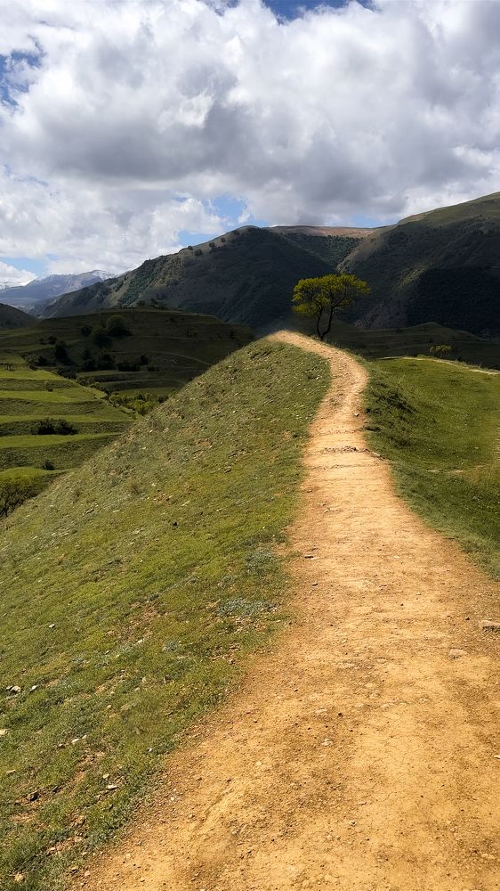 Фотография автора Юлия Осетрова