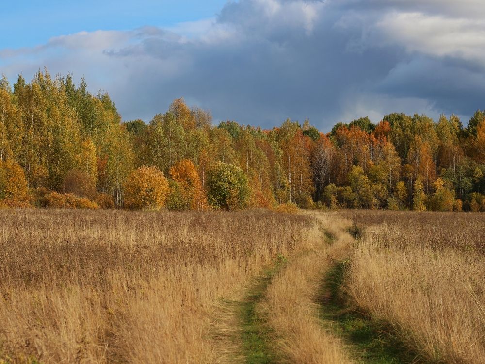 Фотография автора Андрей Шестаков
