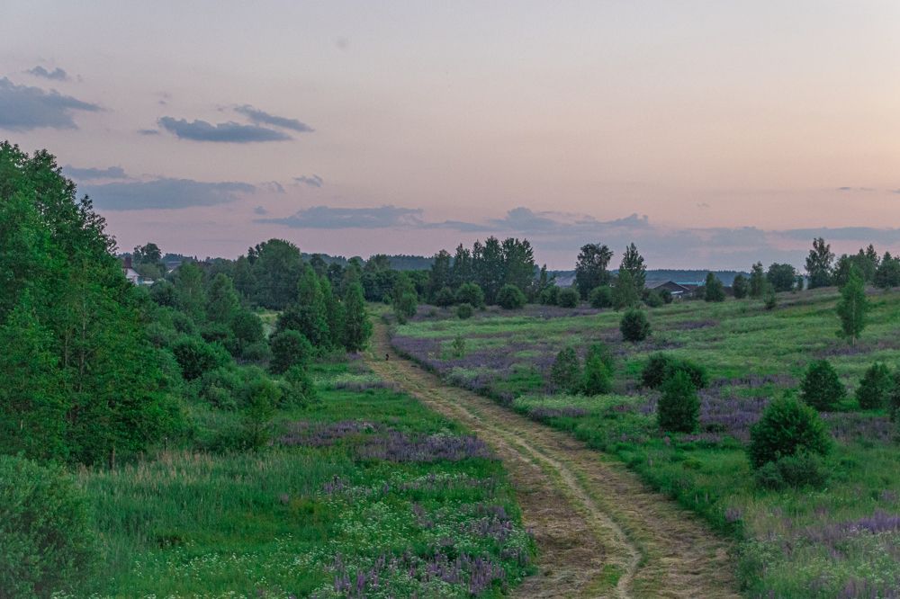 Photograph by Анастасия Лученок