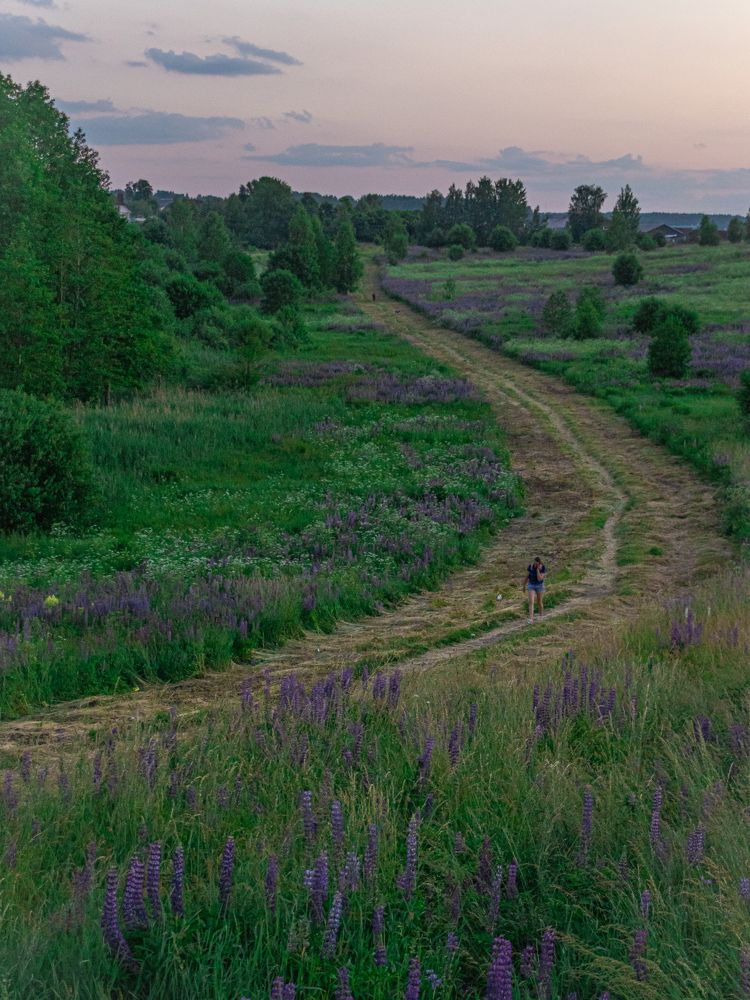 Photograph by Анастасия Лученок