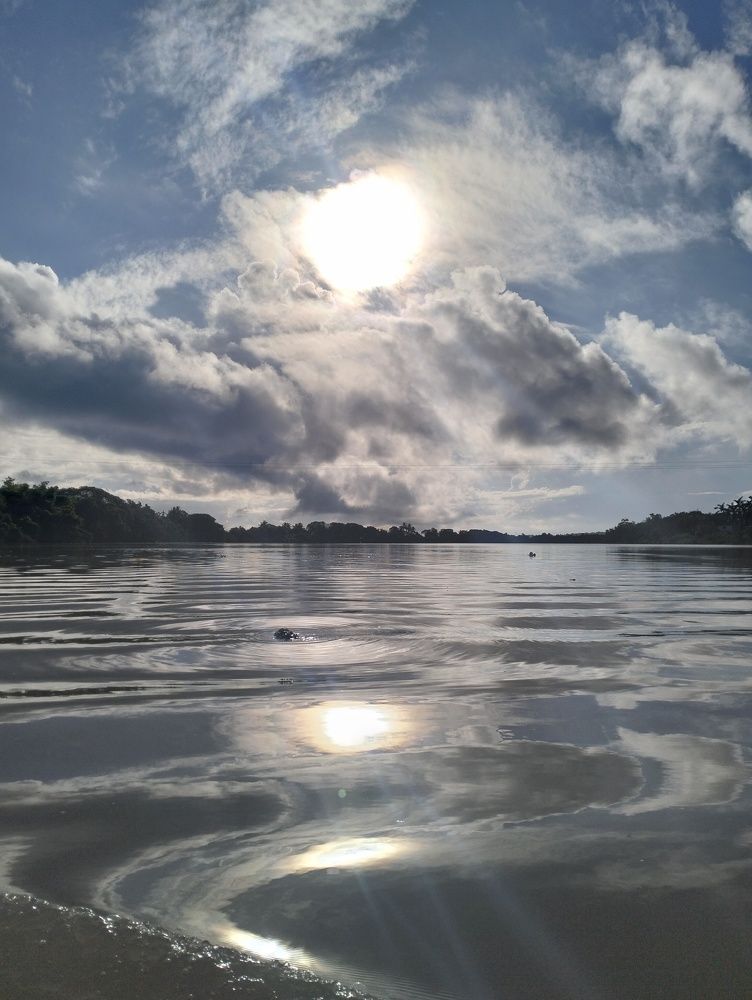 Photo #11226479