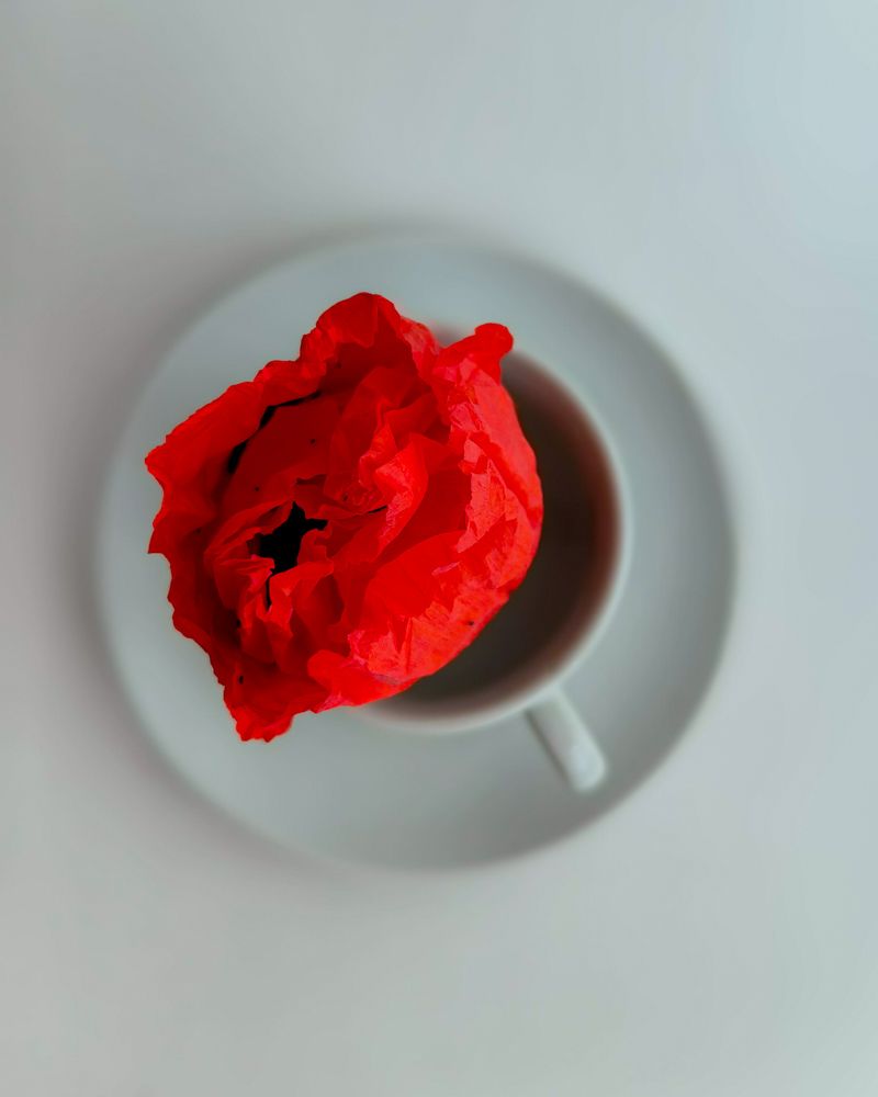 Photograph by Наталья Балабанова