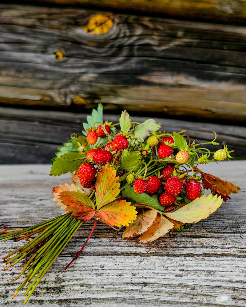 Photograph by Наталья Балабанова