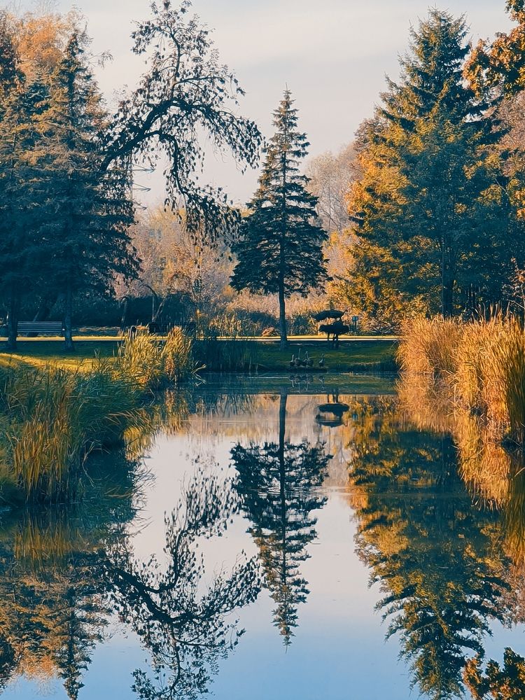 Photograph by Victoria Stoliarenko