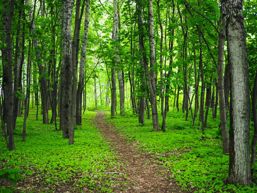 Photograph by Олег