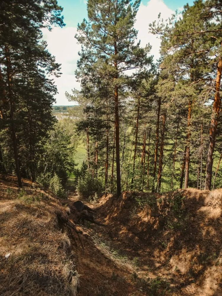 Photograph by Анжелика Трошина