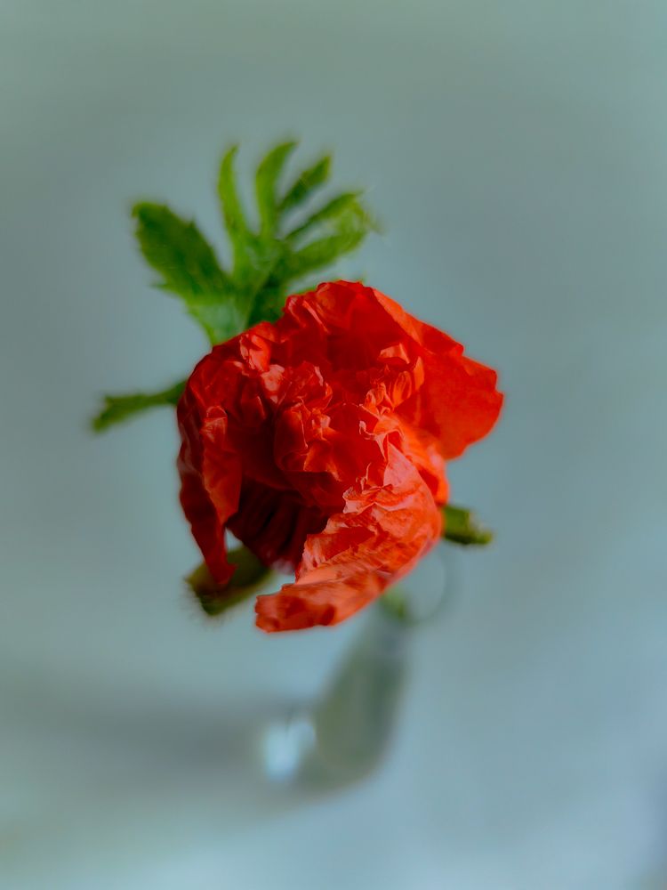 Photograph by Наталья Балабанова