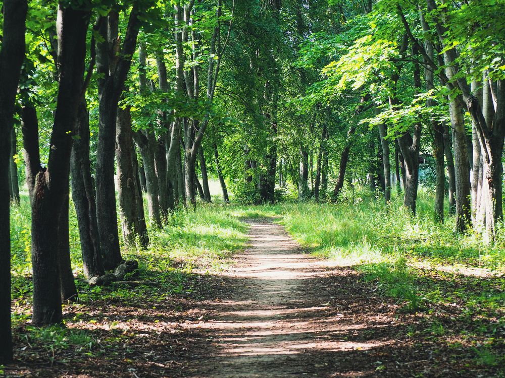 Photograph by Олег