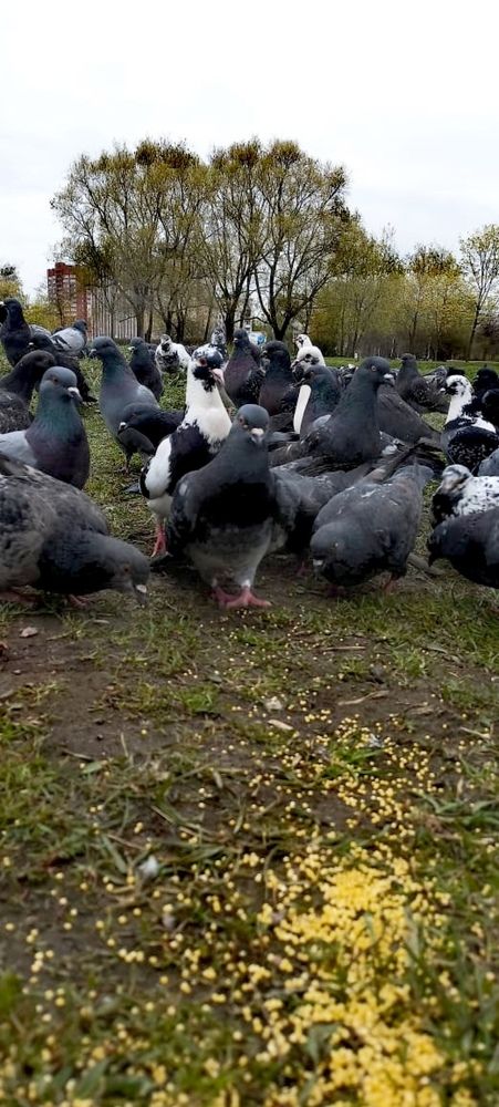 Photograph by Каковкина Ольга