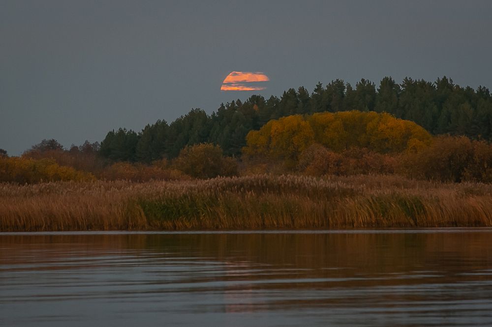 Photograph by Наталья Катюжанская