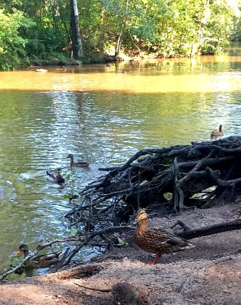 Photograph by Каковкина Ольга