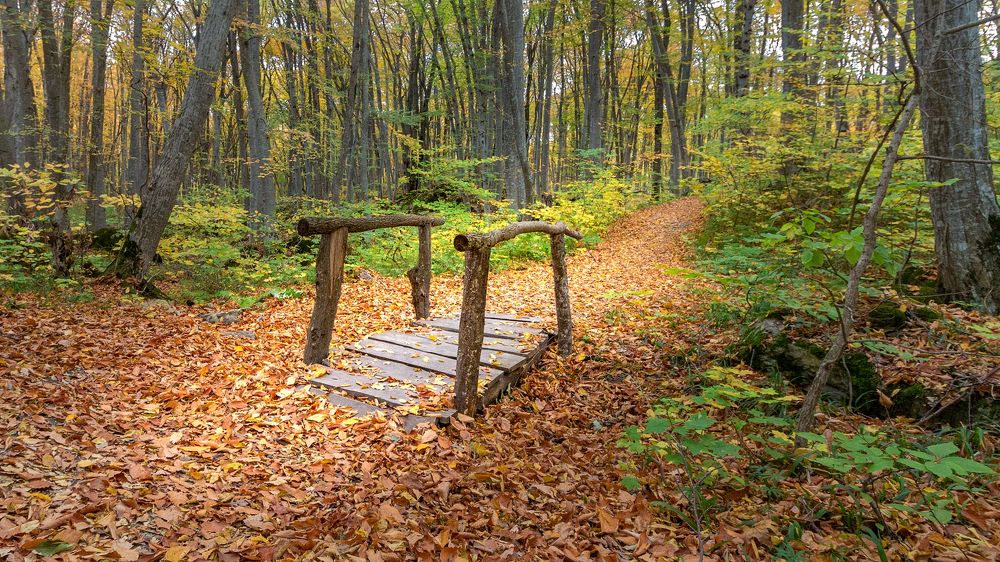 Photograph by Сергей Стратов