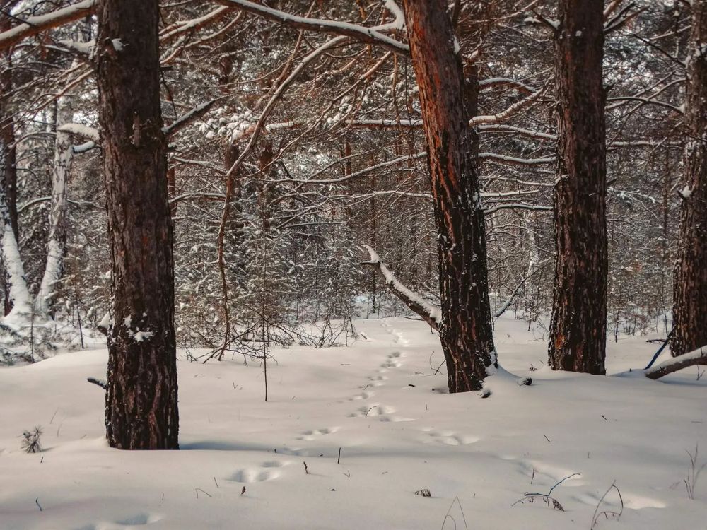 Photograph by Анжелика Трошина