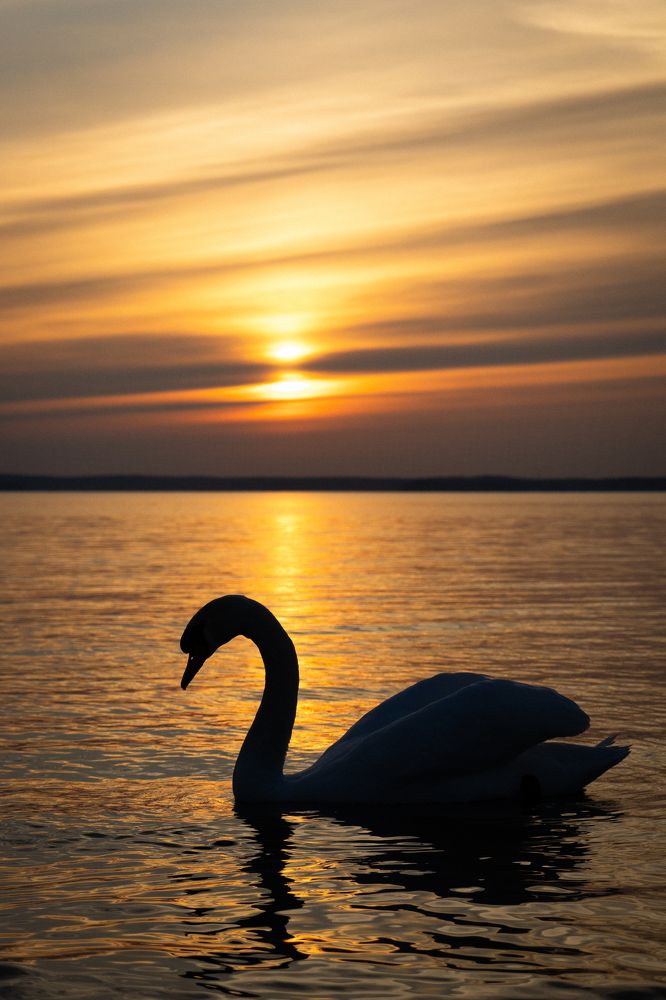 Photograph by Анастасия Лученок