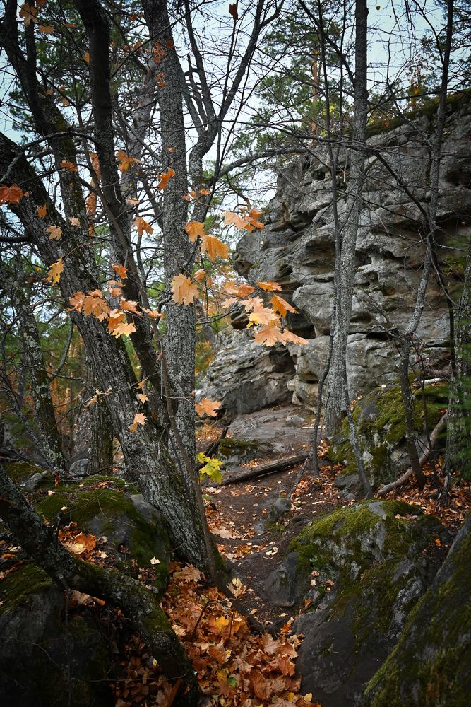 Photograph by Александр Беляков