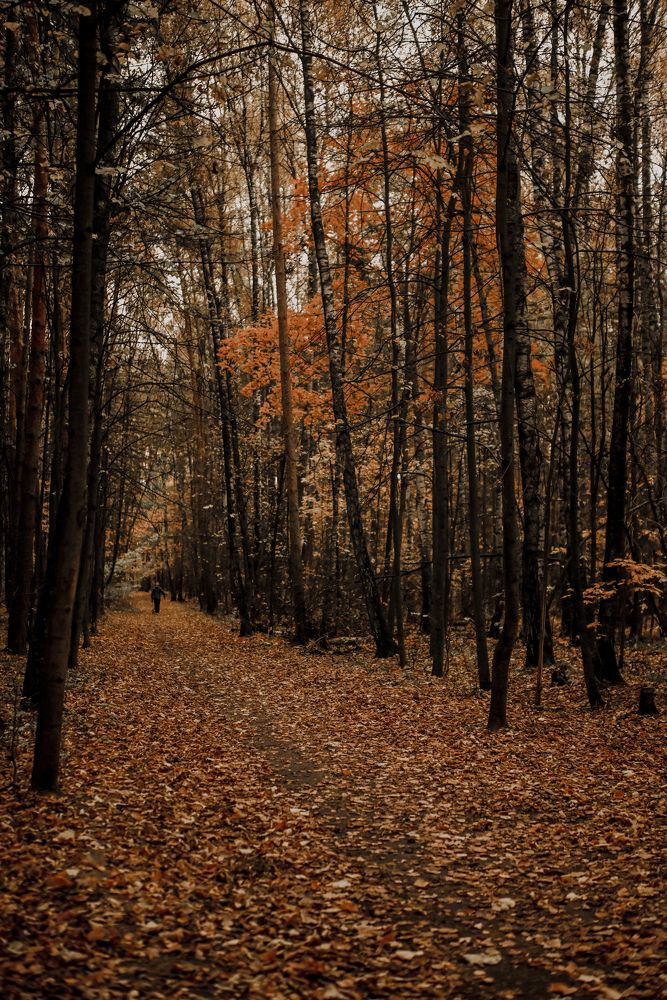 Photograph by Скоблина Юлия