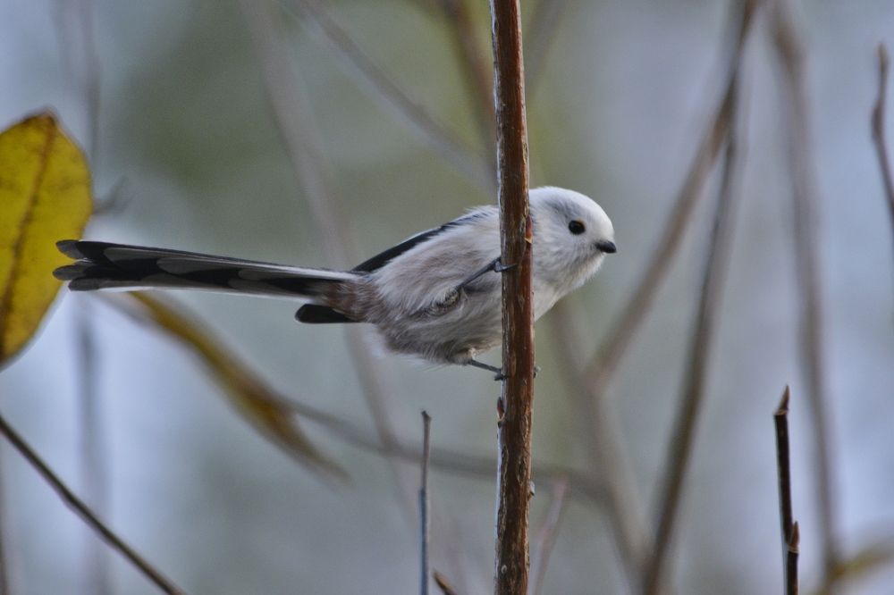 Photograph by Галина Катанова