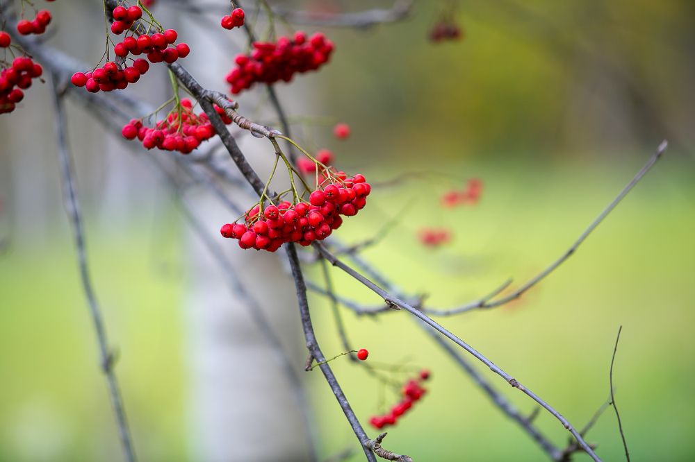 Photograph by Наталья Катюжанская