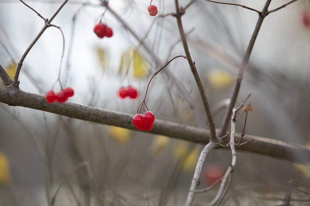 Photograph by Наталья Катюжанская