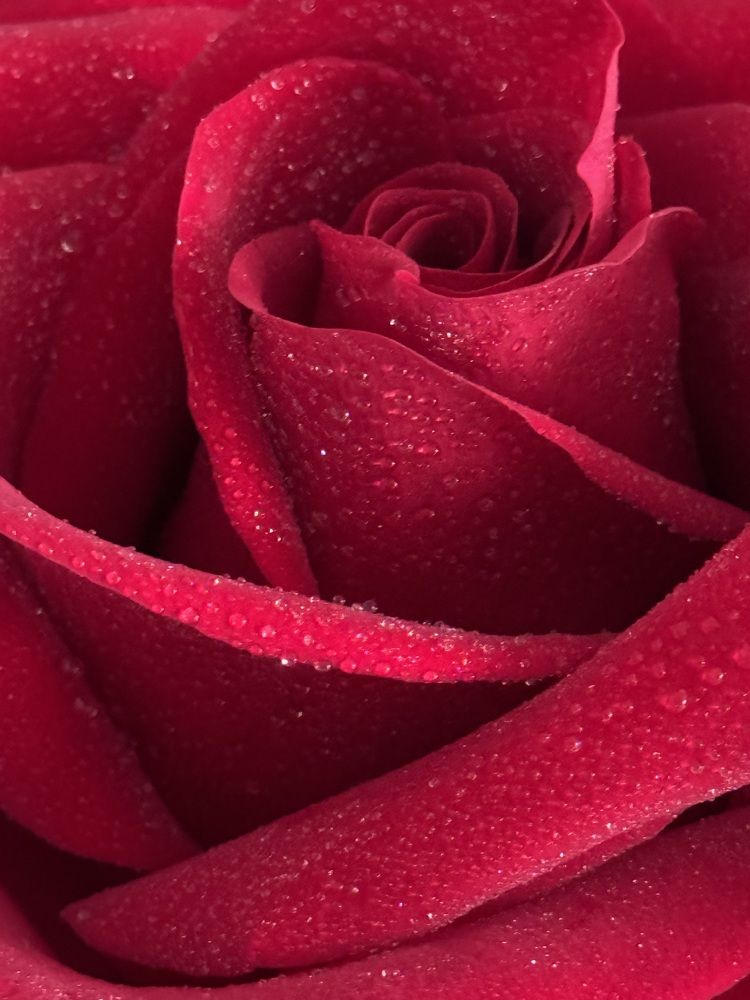 Photograph by Татьяна Смирнова