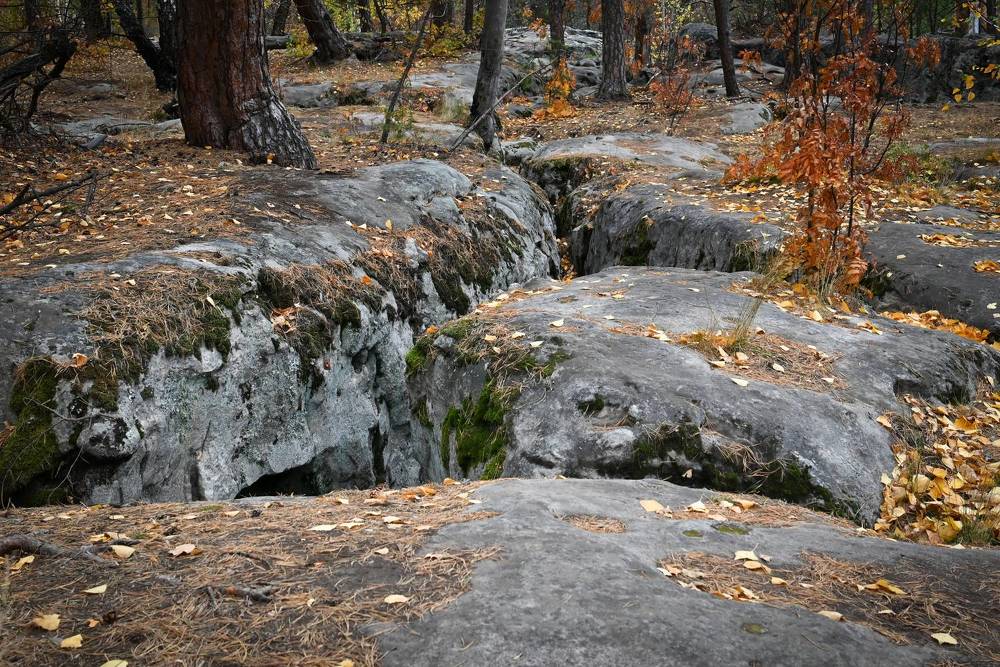 Photograph by Александр Беляков