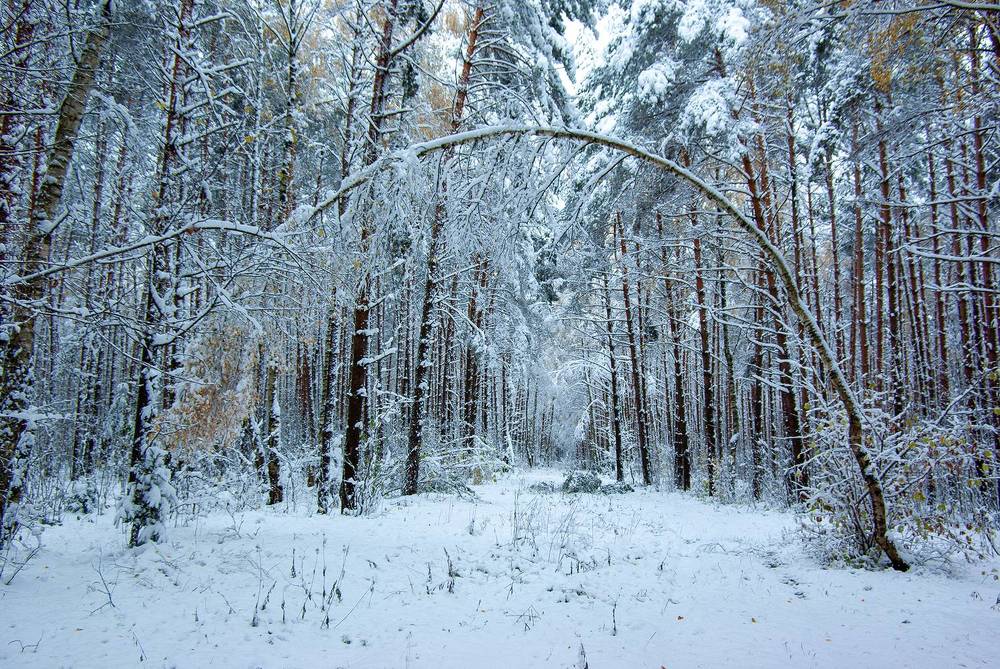 Photograph by Александр Трошин