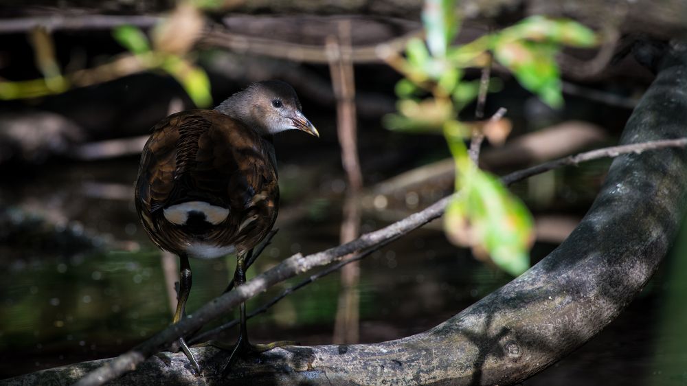 Photograph by Sofia Belyaeva