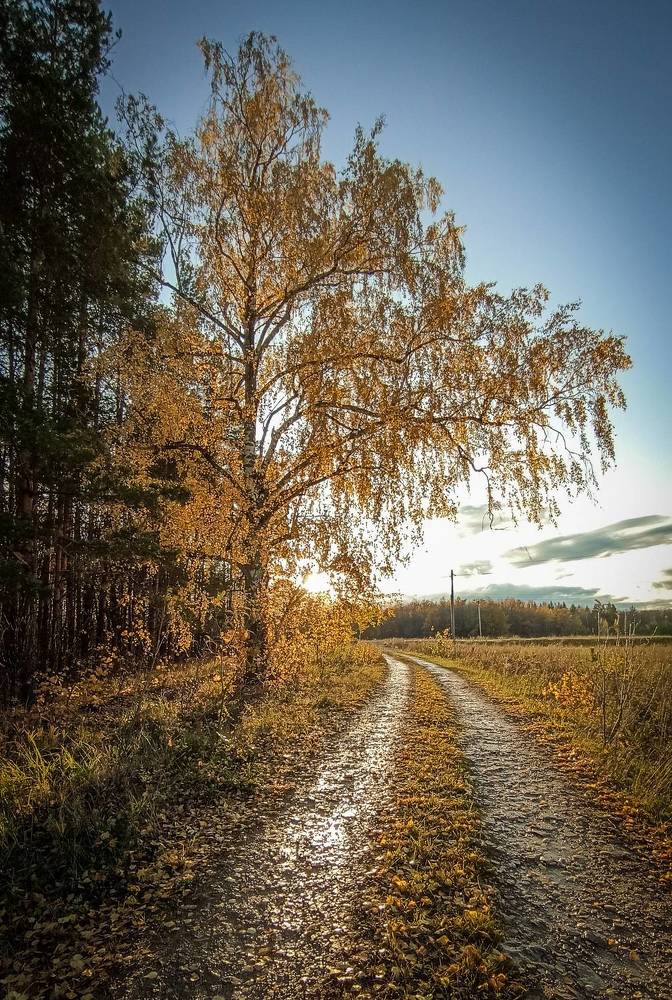 Photograph by Альберт Габбасов