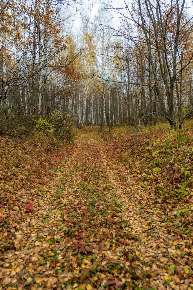 Photograph by Альберт Габбасов