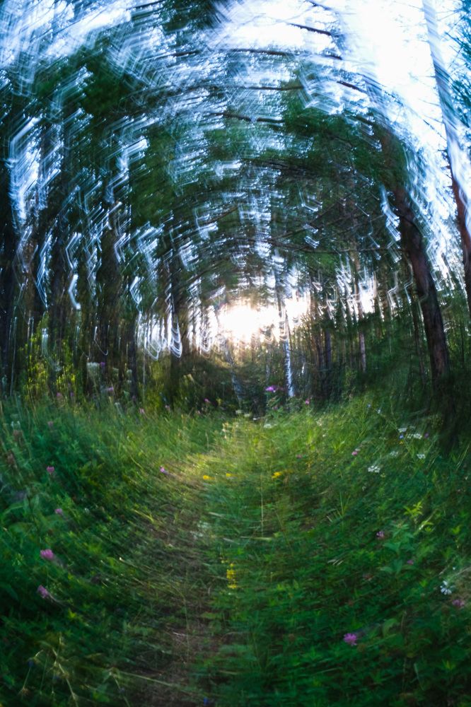 Photograph by Альберт Габбасов