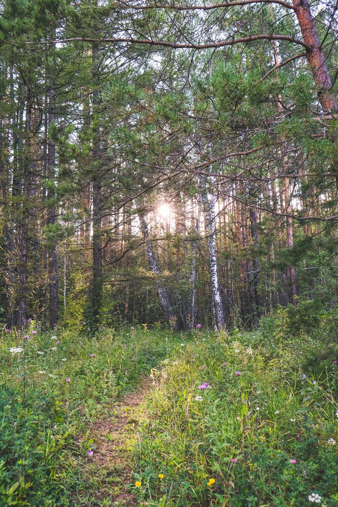 Photograph by Альберт Габбасов