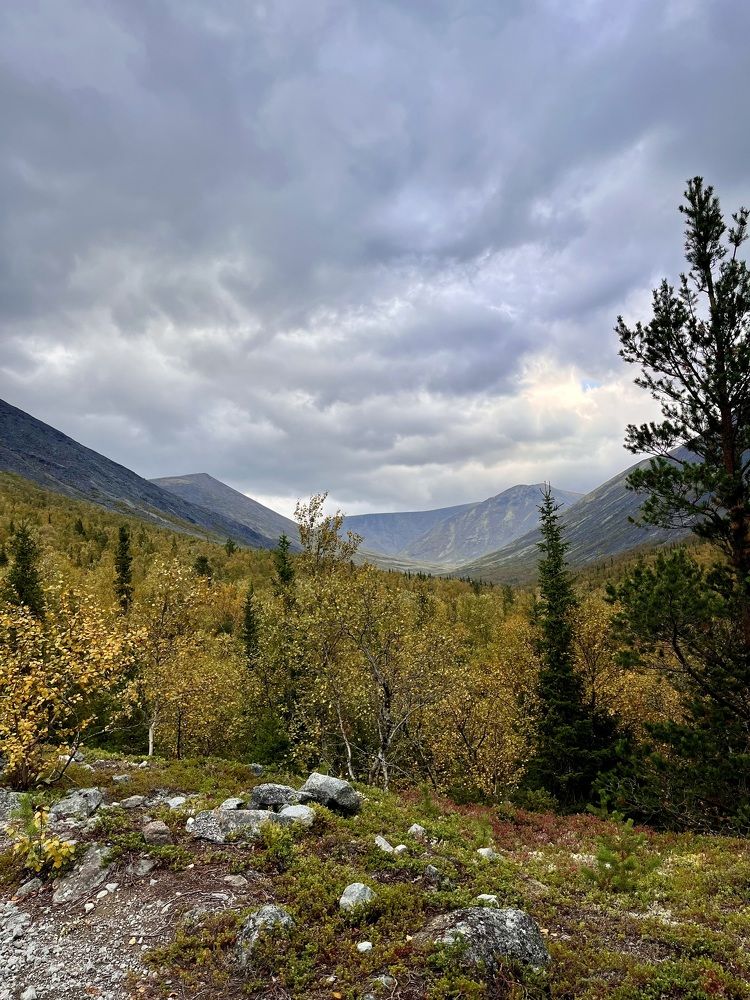 Photograph by Дарья Софронова