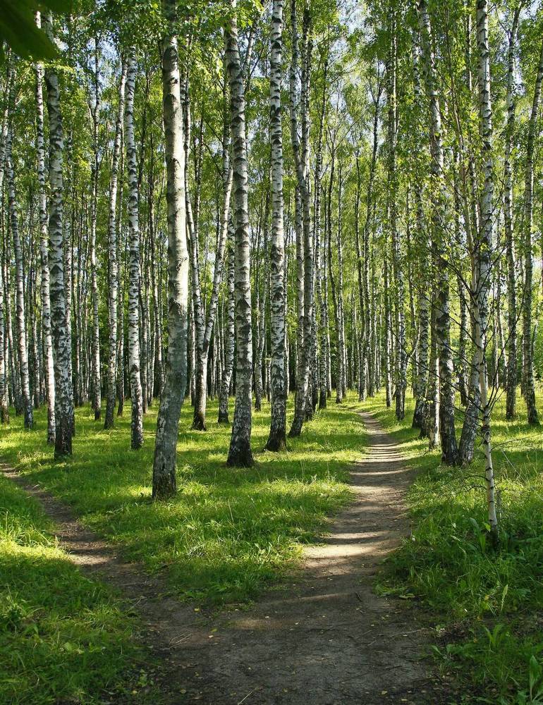 Фотография автора Геннадий Титов