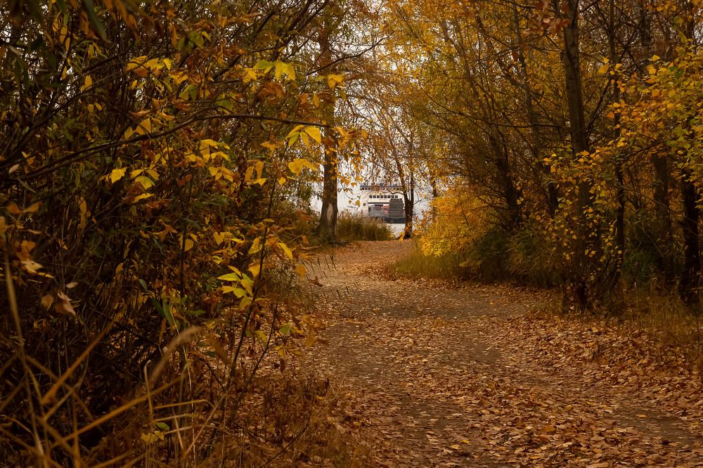 Photograph by Валижон Ходжимирзаев