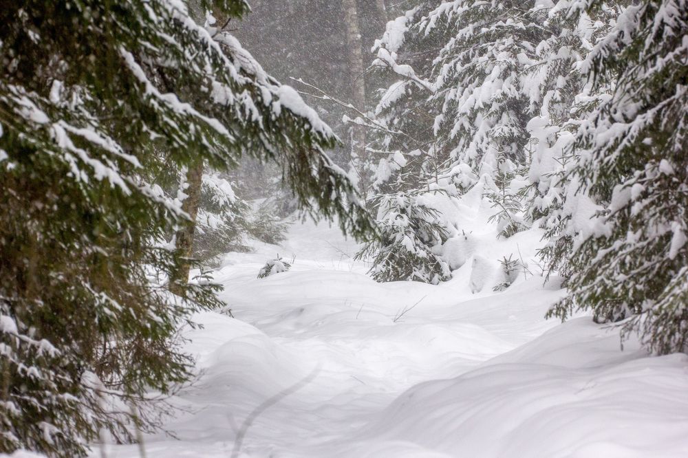 Фотография автора Александр Собокарь