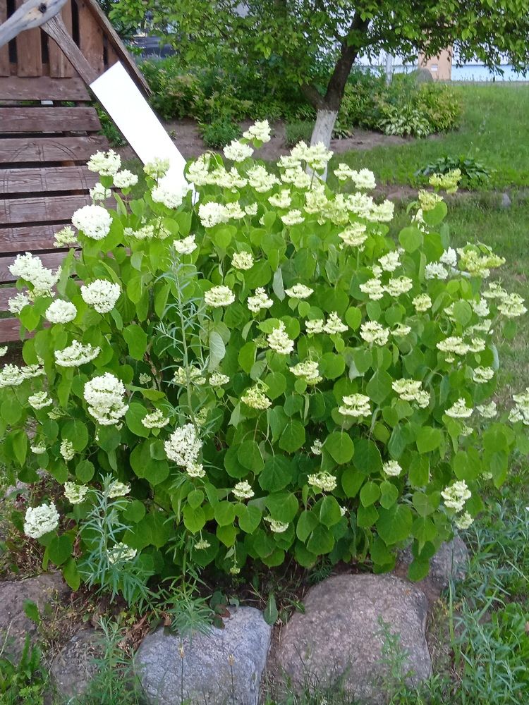 Photograph by Фёдор Викторович